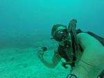 Hawaii Scuba divng 76