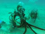 Hawaii Scuba divng 78