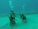 Hawaii Scuba divng 85