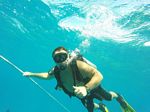 Hawaii Scuba divng 87