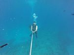 Hawaii Scuba divng 88