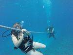 Hawaii Scuba divng 89