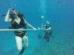 Hawaii Scuba divng 90