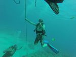 Hawaii Scuba divng 91