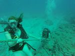 Hawaii Scuba divng 97