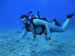 Hawaii Scuba divng 13