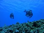 Hawaii Scuba divng 15