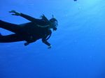 Hawaii Scuba divng 16