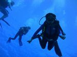 Hawaii Scuba divng 17