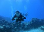 Hawaii Scuba divng 23