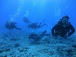 Hawaii Scuba divng 36