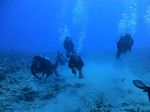 Hawaii Scuba divng 38