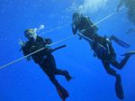 Hawaii Scuba divng 42