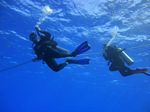 Hawaii Scuba divng 45