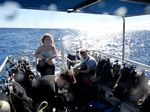 Hawaii Scuba divng 54