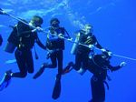 Hawaii Scuba divng 59