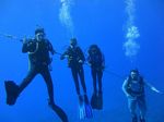 Hawaii Scuba divng 05