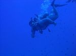 Hawaii Scuba divng 64