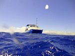 Hawaii Scuba divng 66