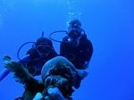 Hawaii Scuba divng 71