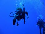 Hawaii Scuba divng 78