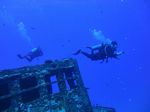 Hawaii Scuba divng 83