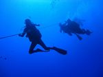 Hawaii Scuba divng 94