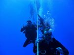 Hawaii Scuba divng 95