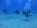 Hawaii scuba 01