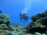 Hawaii scuba 53