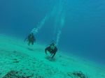 Hawaii Scuba divng 10