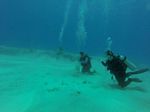 Hawaii Scuba divng 11