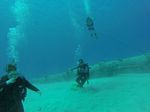 Hawaii Scuba divng 12