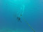 Hawaii Scuba divng 17