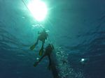 Hawaii Scuba divng 19