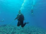 Hawaii Scuba divng 01