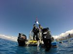 Hawaii Scuba divng 20