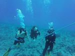 Hawaii Scuba divng 21