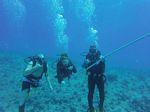 Hawaii Scuba divng 22