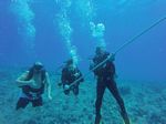 Hawaii Scuba divng 23