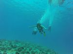 Hawaii Scuba divng 24