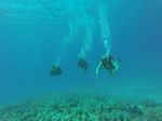 Hawaii Scuba divng 25