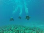 Hawaii Scuba divng 26