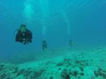 Hawaii Scuba divng 28