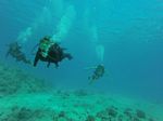 Hawaii Scuba divng 29