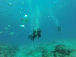 Hawaii Scuba divng 30