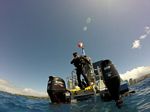 Hawaii Scuba divng 31