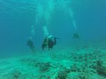 Hawaii Scuba divng 32