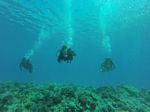 Hawaii Scuba divng 34