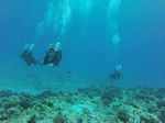 Hawaii Scuba divng 35